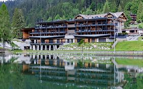 Campiglio Wood